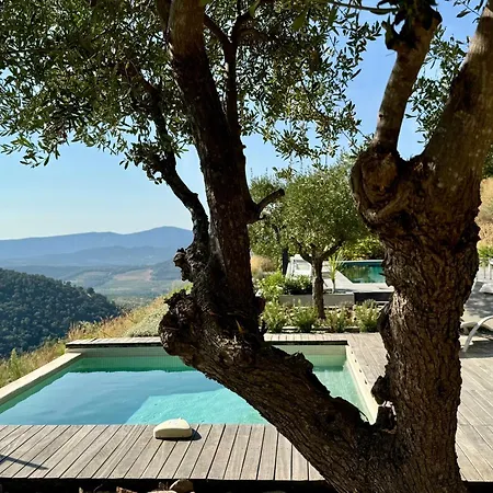 D'arnaud Apartment La Garde-Freinet